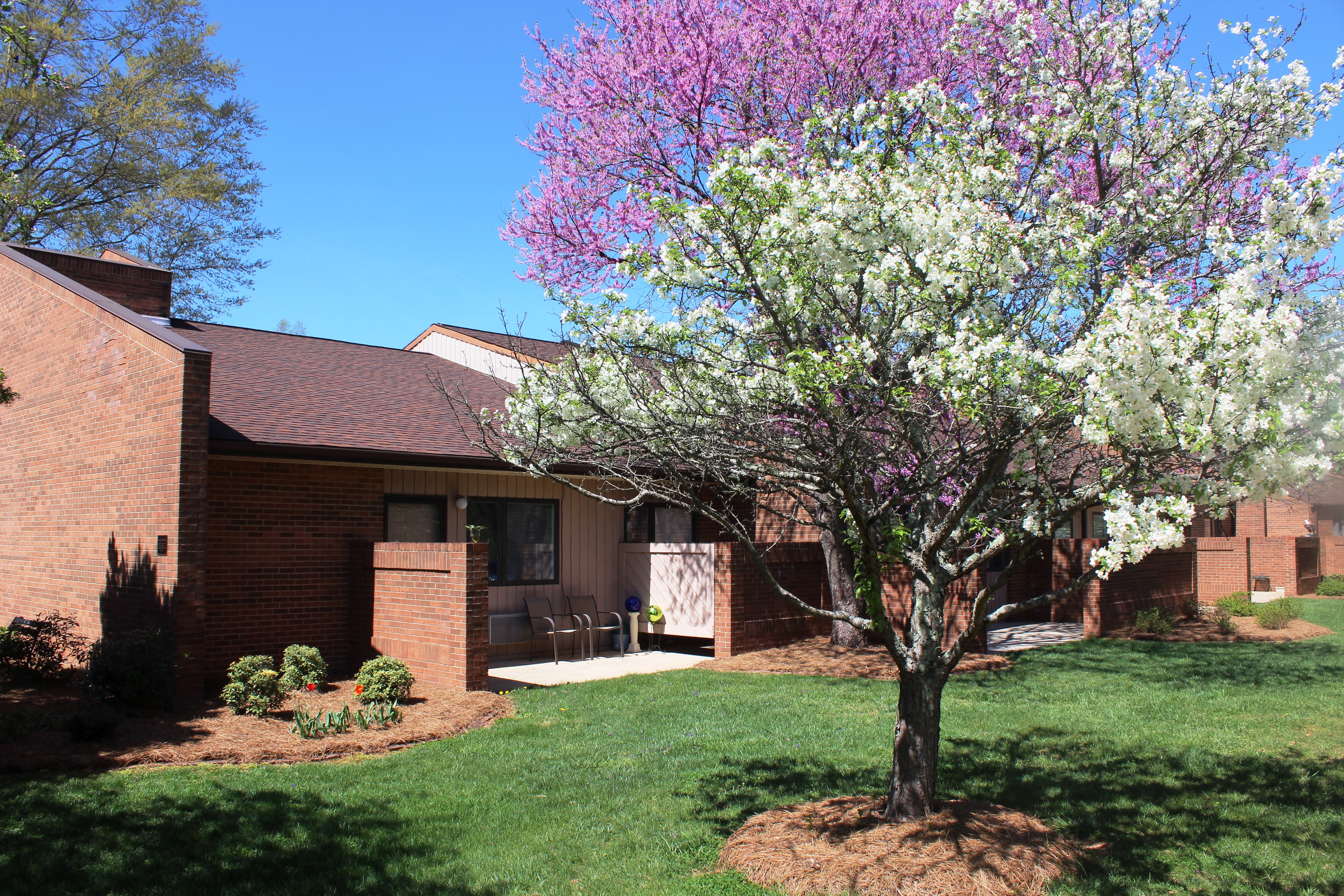 Parkwood Place Dogwoods Parkwood Place